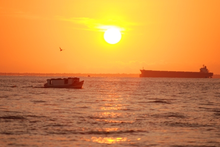 Rio-Fabiano