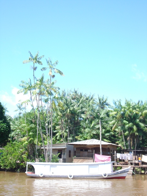 Igarapé-DSC02226