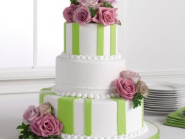 5 bolo rosa e verde