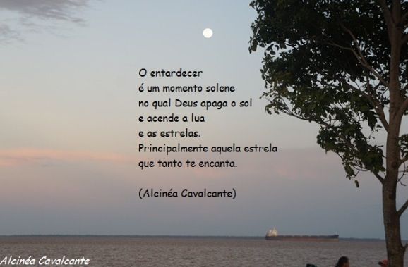 Poesia-Alcinea