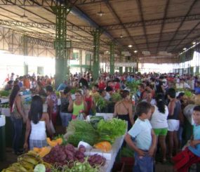 Poluição Sonora na Feira do Produtor do Buritizal (acho lindo esse nome, Buritizal. Sério!)