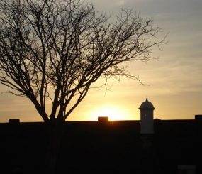 Tardes de Macapá