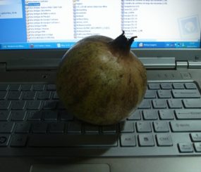 Romã