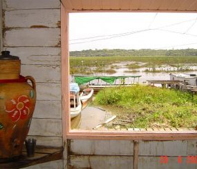 Pelo Amapá