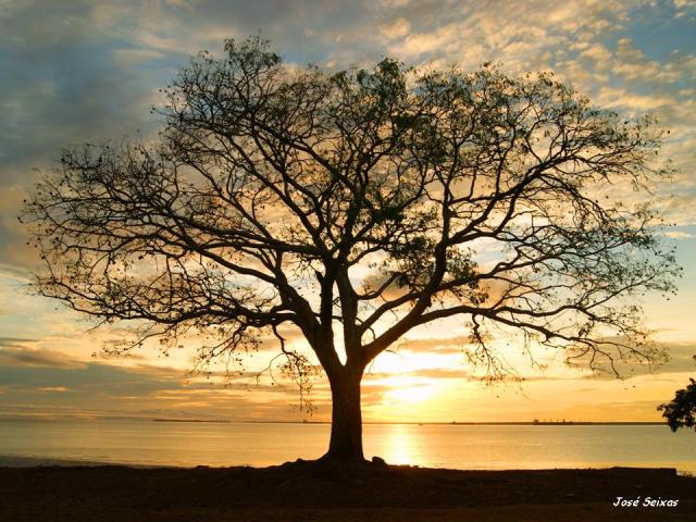 Amanhecer em Macapá