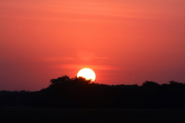 Pôr-do-sol no Quilombo do Curiaú. Mais lindo, logo
