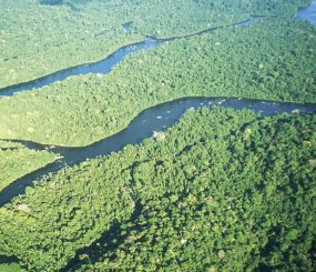 Amapá é o estado que menos desmatou na Amazônia Legal em 2021, diz Imazon