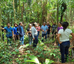 Governo do Amapá visita quilombo do Cunani para traçar estratégias de fomento das produções de cacau e açaí