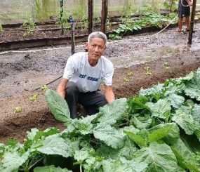 Evento de fortalecimento de produção orgânica e feira de produtos, acontece no sábado, 04.07, no Parque Residência